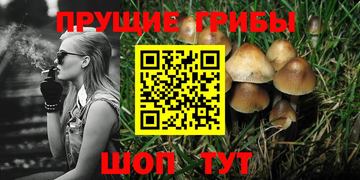 Псилоцибиновые грибы мухоморы Гагарин