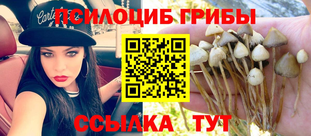 Псилоцибиновые грибы мицелий  Вход с VPN  Гагарин 